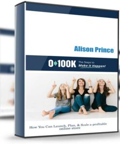 Alison Prince – 0–100k System