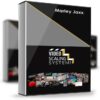 Marley Jaxx – Video Scaling System