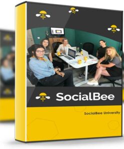 SocialBee – SocialBee University