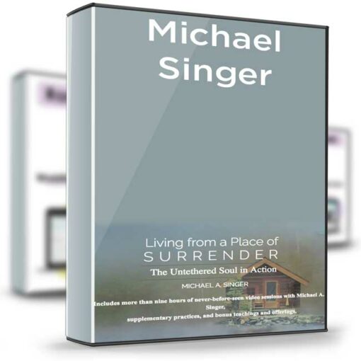Michael Singer – Living From a Place of Surrender 2