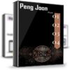 Million Dollar Creation – Peng Joon