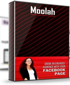 Facebook Page Strategies X–Course – Moolah