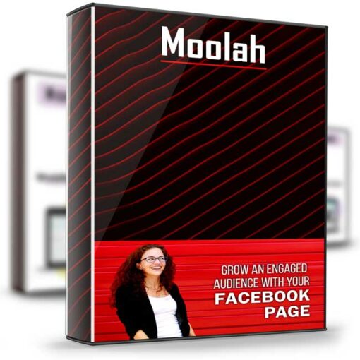 Moolah – Facebook Page Strategies X Course 2