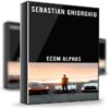 Ecom Alphas – Sebastian Ghiorghiu