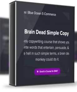 Nate Schmidt – Brain Dead Simple Copy