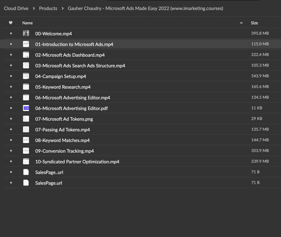 gauher chaudry microsoft ads made easy 2022 628c6d9e00715