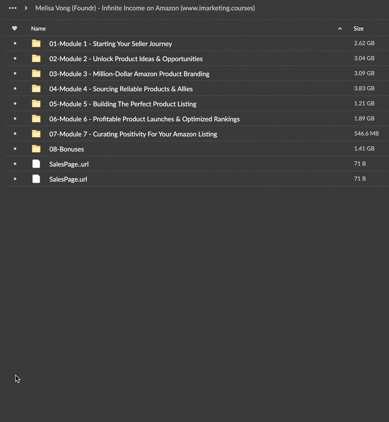 melisa vong foundr infinite income on amazon 628dc8bbf3d46