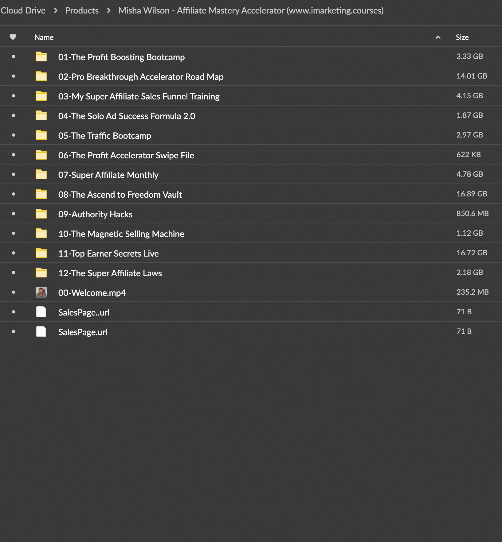 misha wilson affiliate mastery accelerator 62906bb3f3628