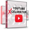Wyse Team – YouTube Xcelerator Program