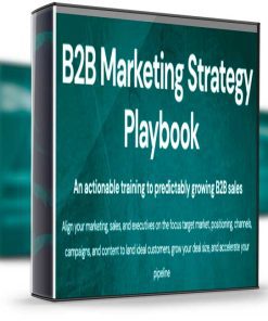 Andrei Zinkevich & Vladimir Blagojevic – B2B Marketing Strategy Playbook