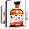 Marie Forleo and Laura Belgray – The Copy Cure