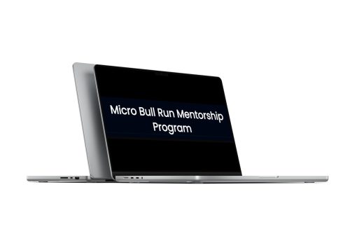 brendan viehman micro bull run mentorship program autumn 2023 6692c8d24bcc3