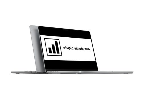mike pearson stupid simple seo 2023 669d806e4561c