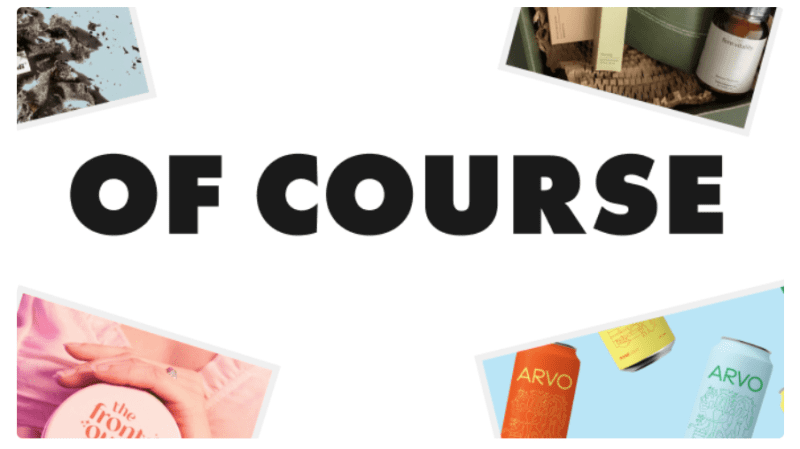willow blake brand marketing course 6836d6ce83e1d
